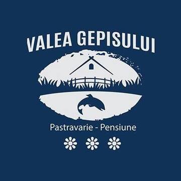 Фотографии Гостевой дом Pensiunea Valea Gepisului г. Groşi (Румыния) №2 Фото Гостевой дом Pensiunea Valea Gepisului г. Groşi 2