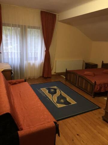 Фото номера Семейный номер Гостевой дом Pensiunea Valea Gepisului г. Groşi 3