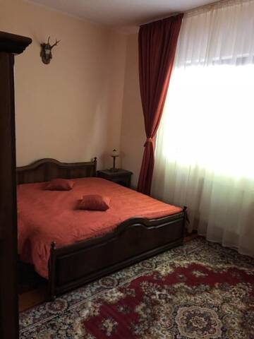 Фото номера Двухместный номер с 1 кроватью Гостевой дом Pensiunea Valea Gepisului г. Groşi 2